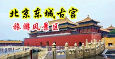好吊久久艹逼中国北京-东城古宫旅游风景区